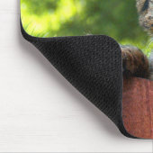 Tapis De Souris Savannah Chat Mousepad (Coin)