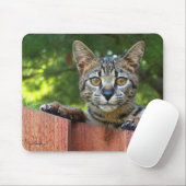 Tapis De Souris Savannah Chat Mousepad (Avec souris)