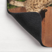 Tapis De Souris Savannah Chat Mousepad (Coin)