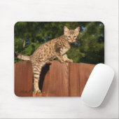 Tapis De Souris Savannah Chat Mousepad (Avec souris)