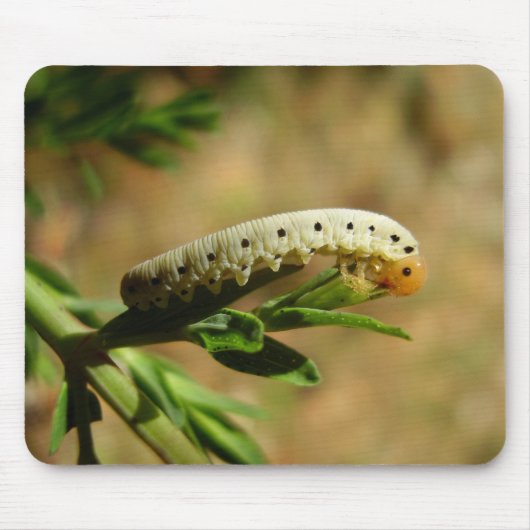 Tapis De Souris Sawfly Larvae Mouse (Devant)