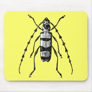 Tapis De Souris Scarabée