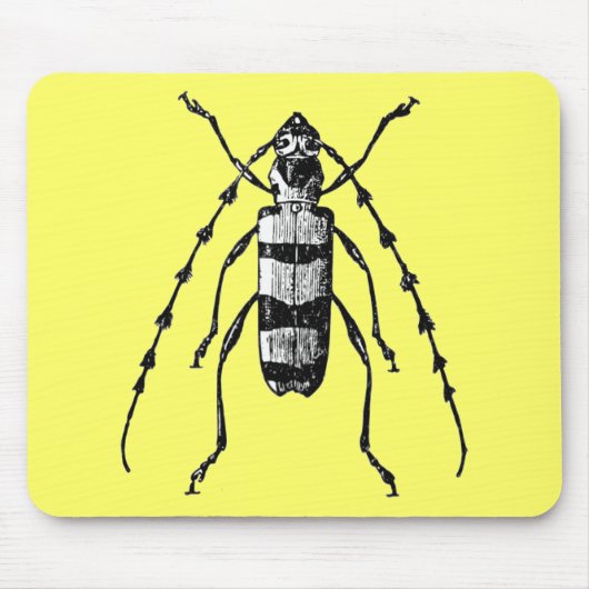 Tapis De Souris Scarabée (Devant)