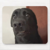 Tapis De Souris Scart de souris de chien effrayé (Devant)