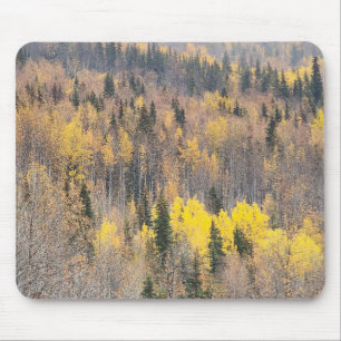 Tapis De Souris Scène de nature avec feuillage d'automne aux tons