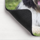 Tapis De Souris schapendoes (Coin)
