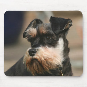 Tapis De Souris schnauzer miniature