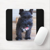 Tapis De Souris Schnauzer miniature (Avec souris)