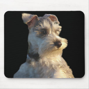 Tapis De Souris Schnauzer miniature Mousepad