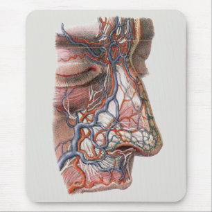 Tapis De Souris Science vintage Anatomie humaine, visage avec nez