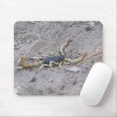 Tapis De Souris Scorpion (Avec souris)
