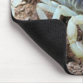 Tapis De Souris scorpion 343 (Coin)
