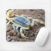 Tapis De Souris scorpion 343 (Avec souris)