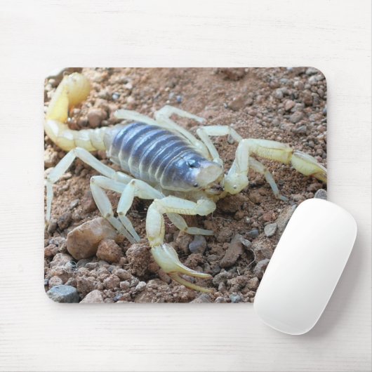 Tapis De Souris scorpion 343 (Avec souris)