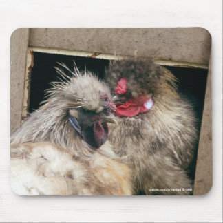 Tapis De Souris Se blottissant des poules de poulets de Silkie -