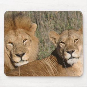 Tapis De Souris Se dorer au soleil - Mousepad