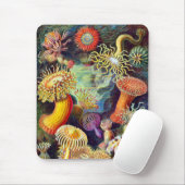 Tapis De Souris Sea Anemones Ernst Haeckel Art (Avec souris)