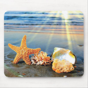 Tapis De Souris Sea shells and starfish on beach