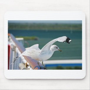 Tapis De Souris Seagull.JPG