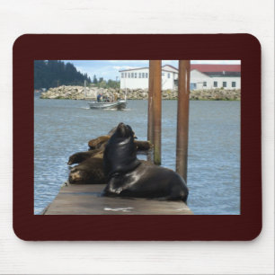 Tapis De Souris Sealions Astoria Oregon