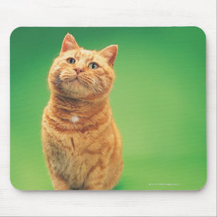 Tapis De Souris Séance de chat de gingembre, regardant vers le