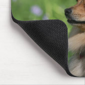 Tapis De Souris Séance de Headshot de Pomeranian (Coin)