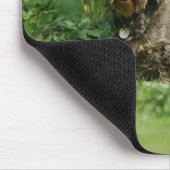 Tapis De Souris Séance standard à poils durs de teckel (Coin)