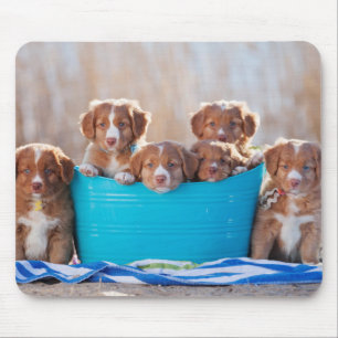 Tapis De Souris Seau de chiots sur la plage