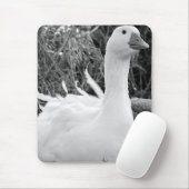Tapis De Souris Sebastopol Goose (Avec souris)