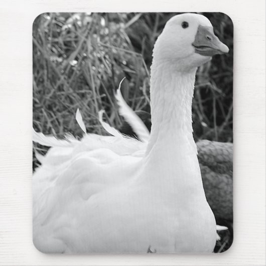 Tapis De Souris Sebastopol Goose (Devant)