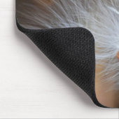 Tapis De Souris semis d'algue (Coin)