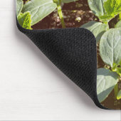 Tapis De Souris Semis en concombre (Coin)