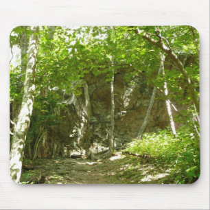 Tapis De Souris Sentier de découverte de Frazier à Shenandoah Phot