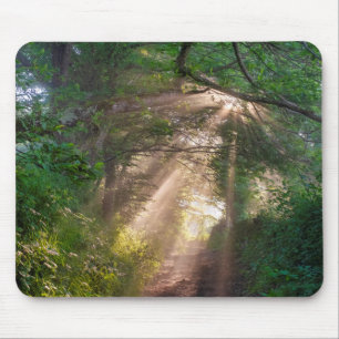 Tapis De Souris sentier forestier