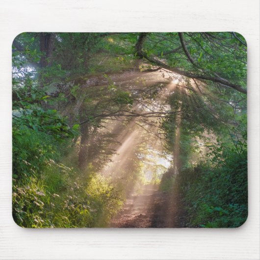 Tapis De Souris sentier forestier (Devant)