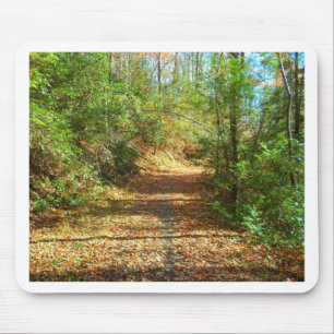 Tapis De Souris Sentier forestier d'automne éclairé