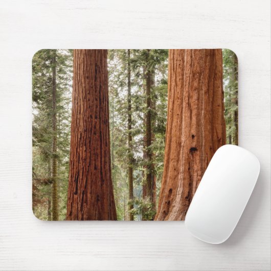 Tapis De Souris Séquoia Panorama géant (Avec souris)