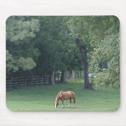 Tapis De Souris Sérénité fraîche - mousepad (Devant)