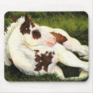 Tapis De Souris Sérénité - peignez le poulain Mousepad de cheva