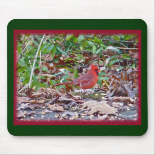 Tapis De Souris Série Cardinal Wild Songbird