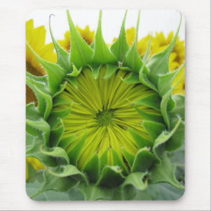 Tapis De Souris Série de tournesols