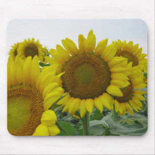 Tapis De Souris Série de tournesols