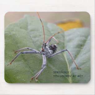 Tapis De Souris Sérieusement vous me regardant ?