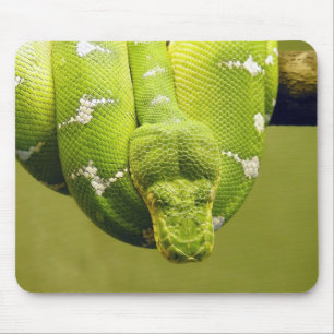 Tapis De Souris Serpent
