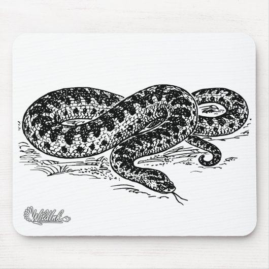 Tapis De Souris Serpent d'additionneur (Devant)