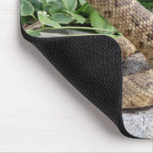 Tapis De Souris serpent de bétail sur une roche (Coin)