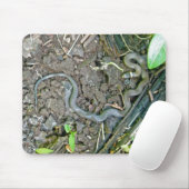 Tapis De Souris Serpent de Ringneck Mousepad (Avec souris)