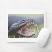 Tapis De Souris Serpent de tigre (Avec souris)