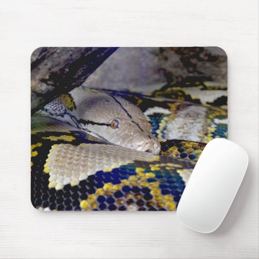 Tapis De Souris Serpent Python réticulé (Avec souris)