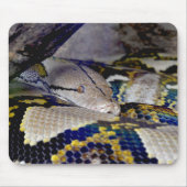 Tapis De Souris Serpent Python réticulé (Devant)